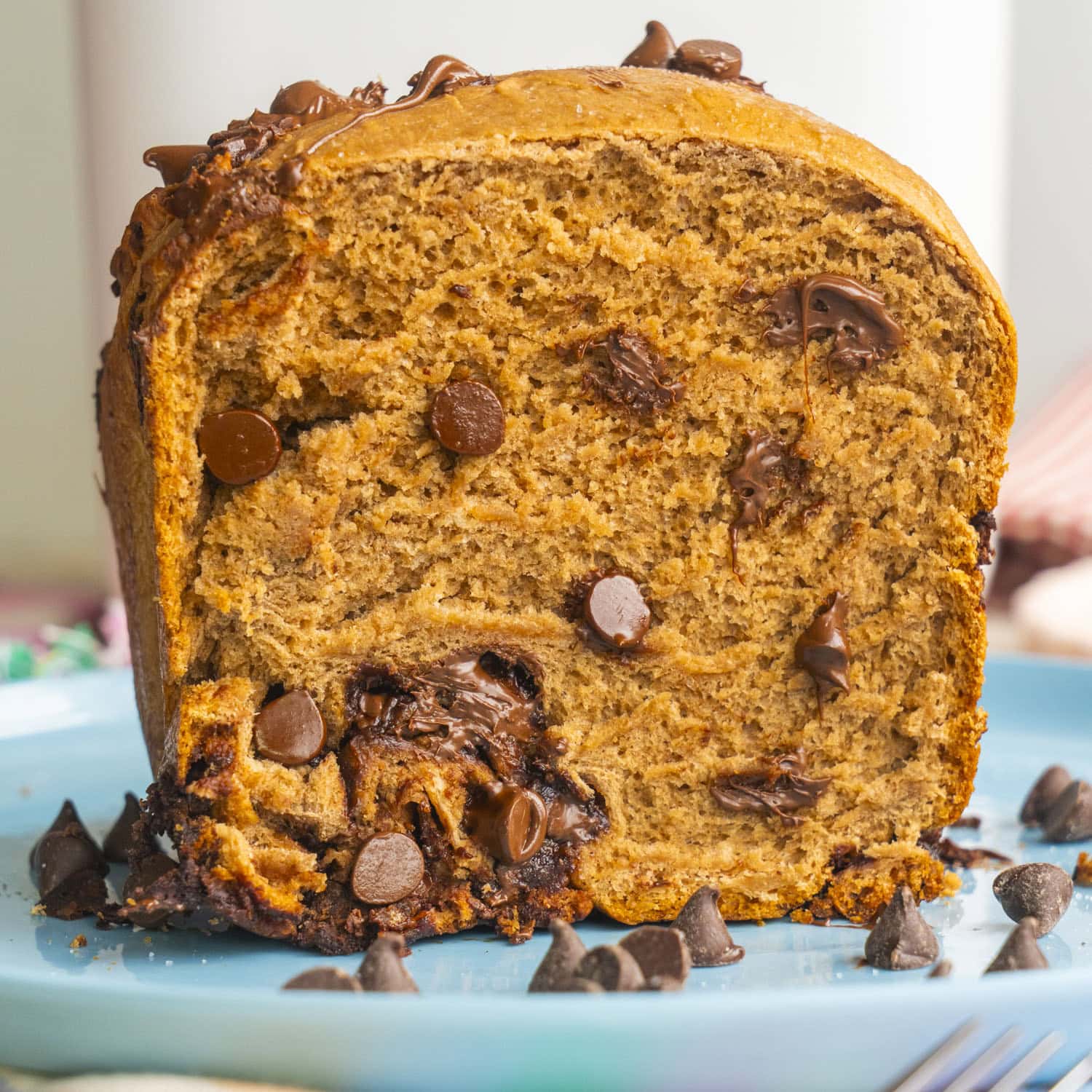 Chilled Chips: Your Secret for Gooey Bread Machine Chocolate Bread